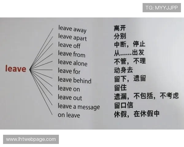 掌握老虎机英文的核心词汇和短语，提升你的英语专业水平